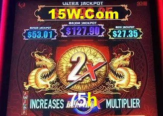 Experiência VIP 75h