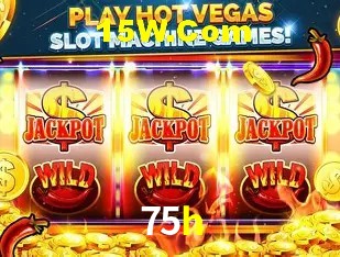 Login Seguro 75h