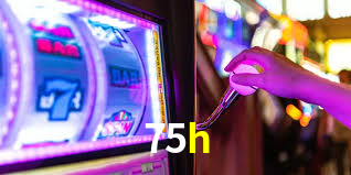 Programa VIP 75h